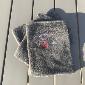 Guanto doccia funivia grigio (x3)