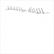 Funda de almohada Bosque de abetos