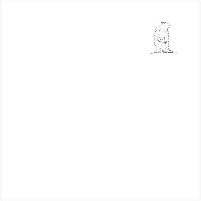 Taie d'oreiller carrée montagne blanche brodée d'un motif marmotte gris.