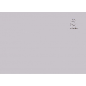 Funda de almohada gris pardo - Marmota 65x65cm