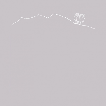 Taie d'oreiller mouton taupe 65x65cm