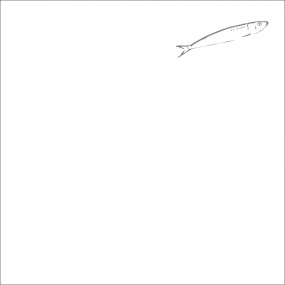 Square white cotton percale pillowcase with sea-themed design, embroidered with a grey fish motif.