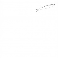 Square white cotton percale pillowcase with sea-themed design, embroidered with a grey fish motif.