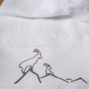 Ibex Bath Sheet 100x150cm