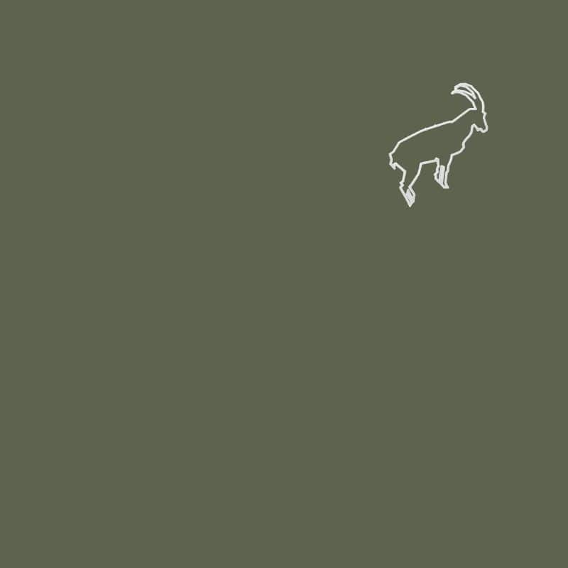 Mountain-themed pillowcase in green cotton percale, embroidered with a white ibex motif.