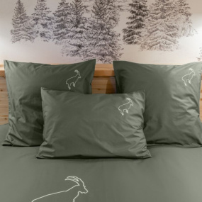 Green square pillow cases with Ibex