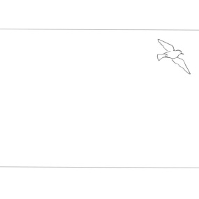 Pillow case with a seagull