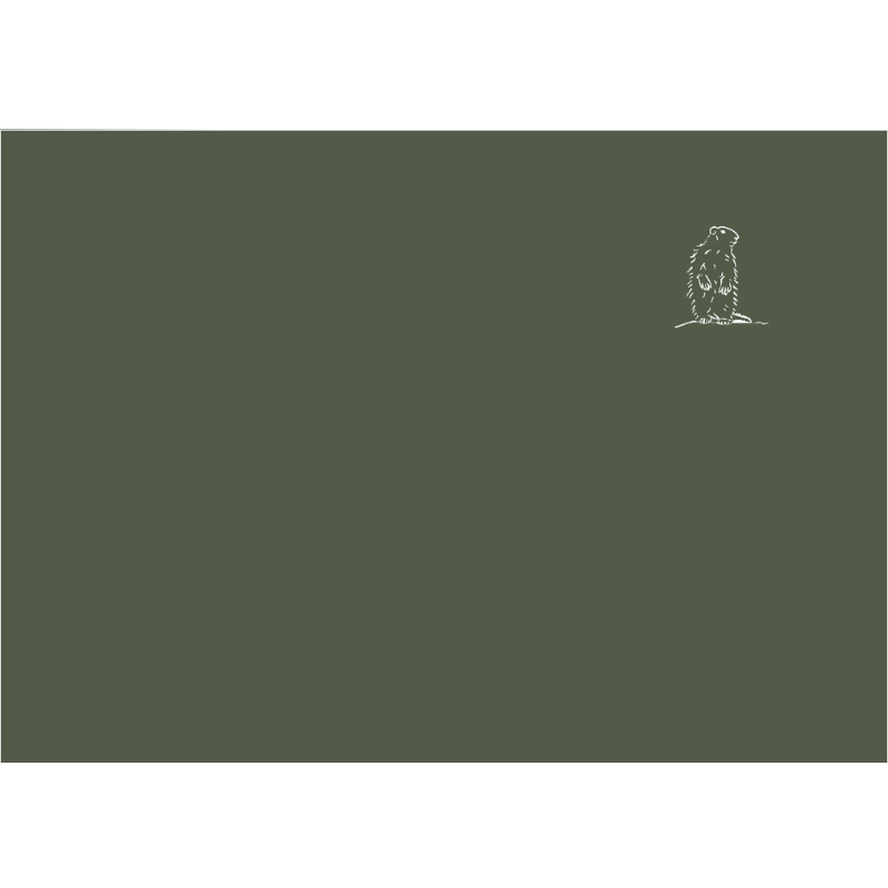 Rectangular mountain-themed pillowcase in green cotton percale, embroidered with a marmot motif.