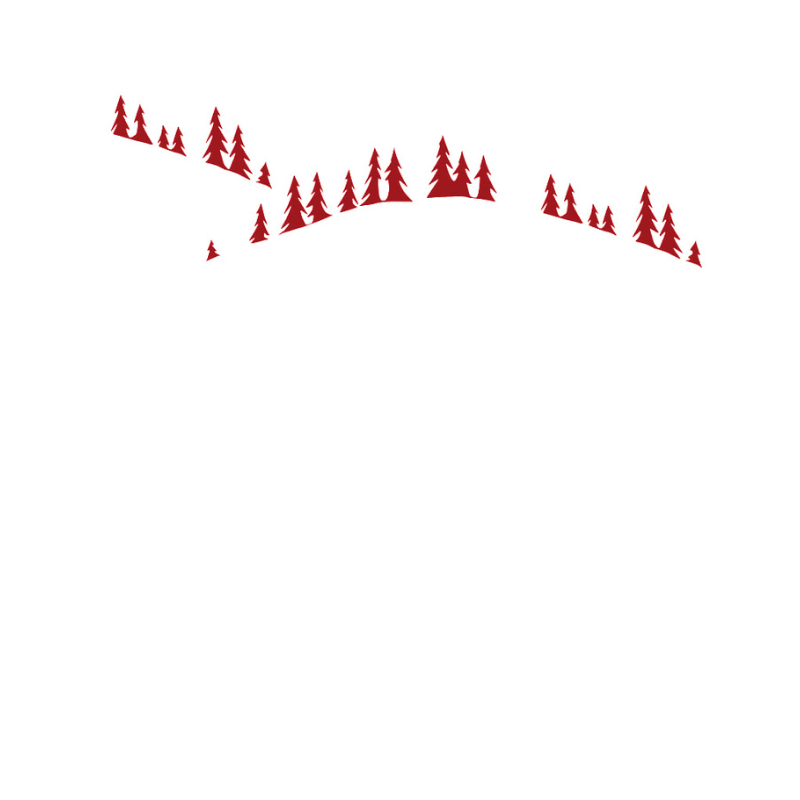 Federa quadrata Foresta di abeti ricamata rossa