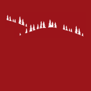 Funda de almohada 65x65 Bosque de abetos rojos