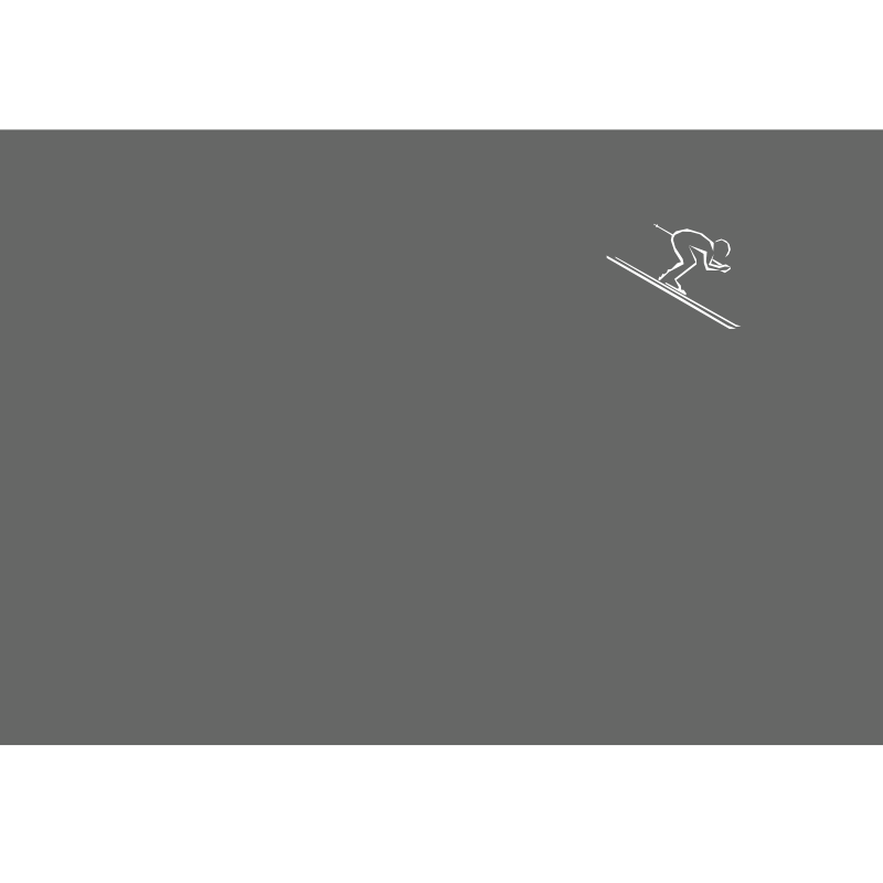 Schuss pillowcase 50x70 gray