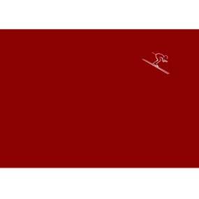 Taie d'oreiller Schuss 50x70 rouge