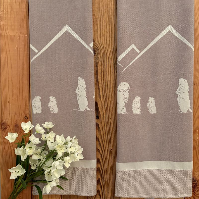 Chocolate marmot kitchen towel (x2)