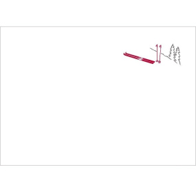 White Ski Pillowcase